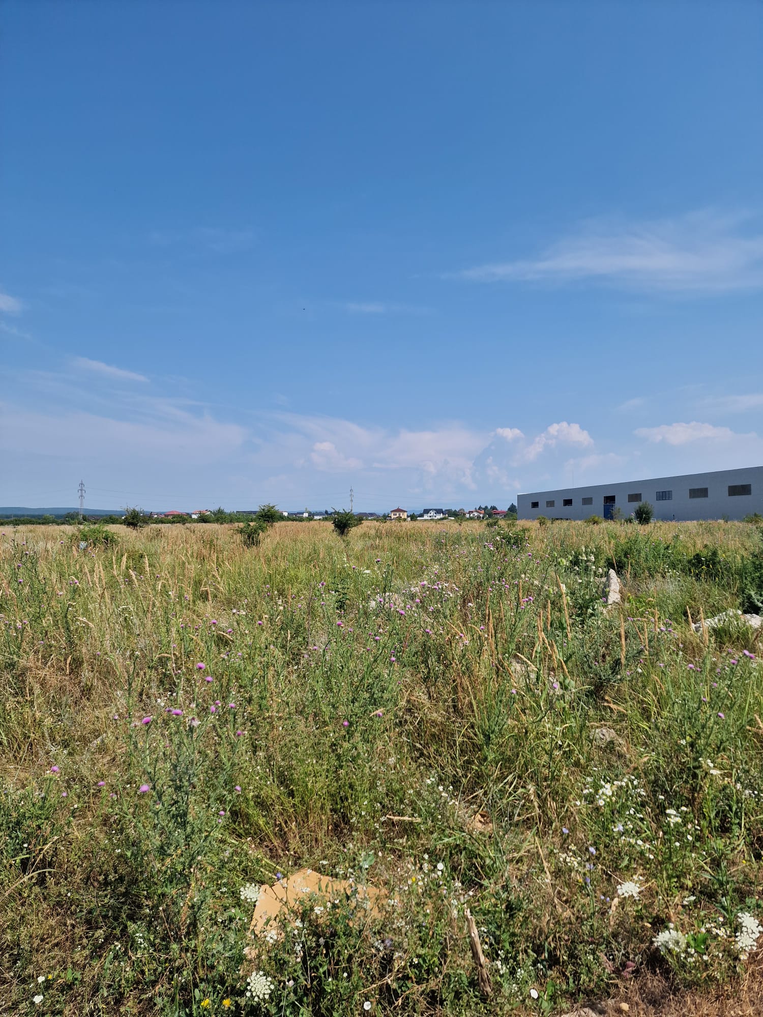 Două loturi de teren intravilan – 8.682 mp (7.445 mp + 1.237 mp)  – Zona industrială Târgoviște