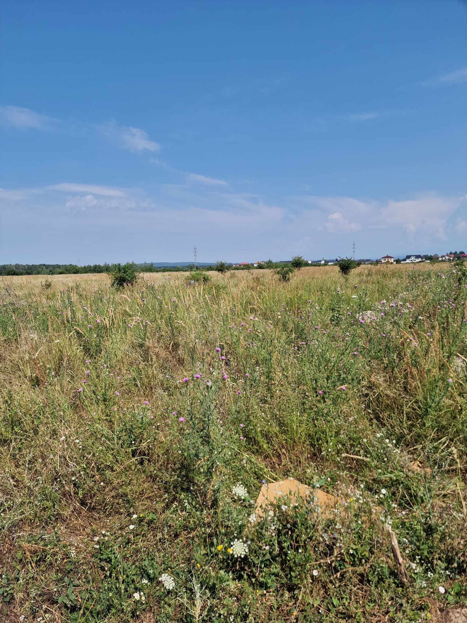 Două loturi de teren intravilan – 8.682 mp (7.445 mp + 1.237 mp)  – Zona industrială Târgoviște
