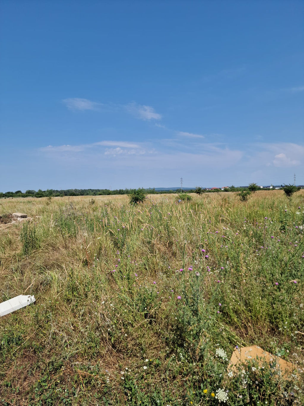 Două loturi de teren intravilan – 8.682 mp (7.445 mp + 1.237 mp)  – Zona industrială Târgoviște