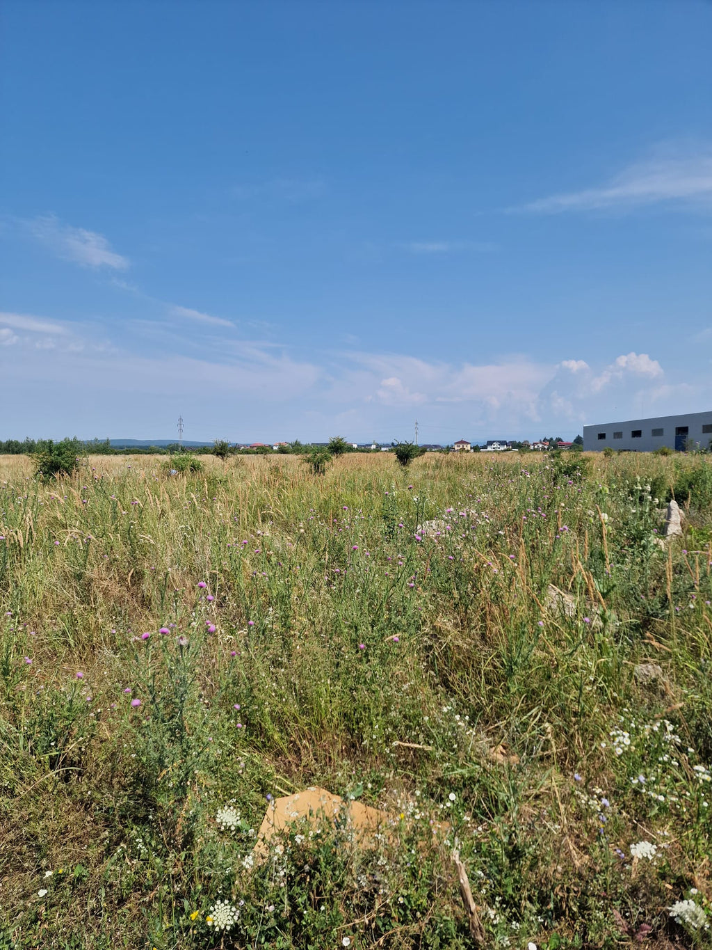 Două loturi de teren intravilan – 8.682 mp (7.445 mp + 1.237 mp)  – Zona industrială Târgoviște