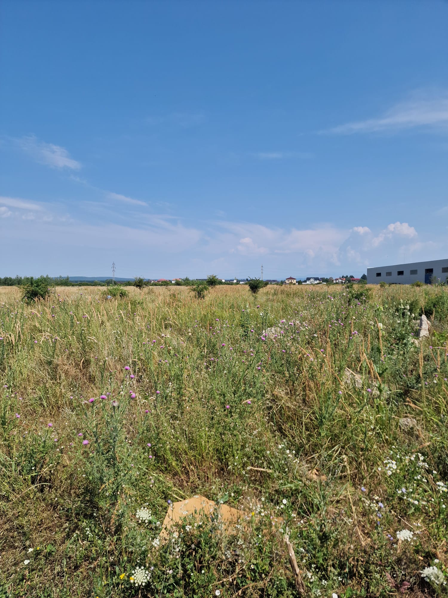 Două loturi de teren intravilan – 8.682 mp (7.445 mp + 1.237 mp)  – Zona industrială Târgoviște